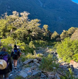 Milford Track walking tours