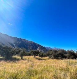 Mount Cook National Park walking and hiking tours