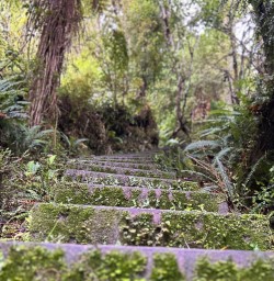 New Zealand hiking tours 2