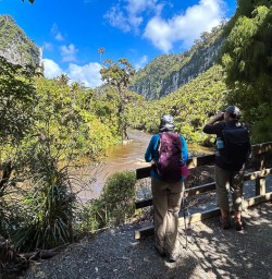 Paparoa National Park