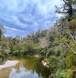 Paparoa National Park