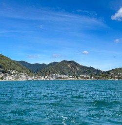 Picton
