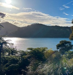 Queen Charlotte Sound