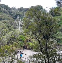 Small Group Tours