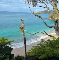 Stewart Island adventure tours2