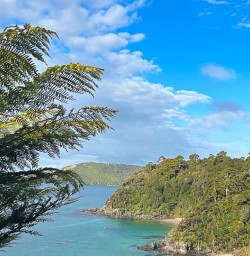 Stewart Island adventures 2