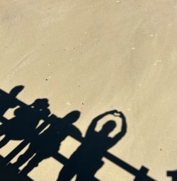 Stewart Island beach tours