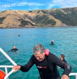 Swimming with dolphins in Akoroa