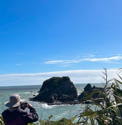 West Coast beaches