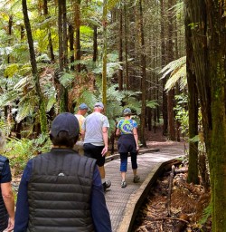 Whakarewarewa forest hiking tour 
