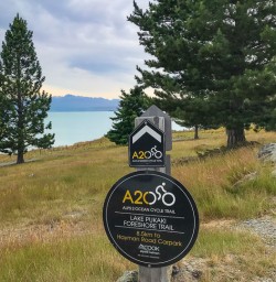 Alps to Ocean Lake Pukaki