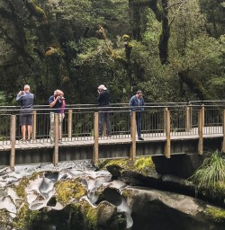 Chasm at Cleddau River, Fiordland National Park Southland New Zealand