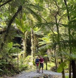 Paparoa National Park
