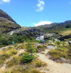 walkers at routeburn track falls