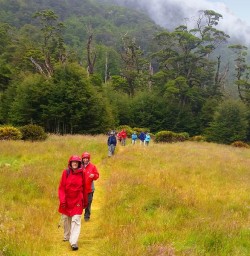 hiking on the routeburn track