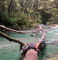 Routeburn track river, Otago New Zealand