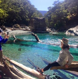 picture at routeburn track river