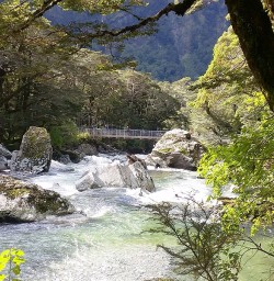 view on routeburn track river