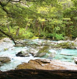 routeburn track river