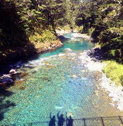 shadow at routeburn track rivers bridge