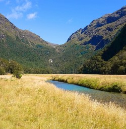 view of routeburn track valley