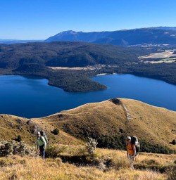 Small group tour to Bushline Hut 