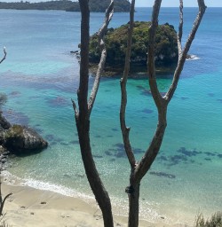 Stewart island walking tours 2