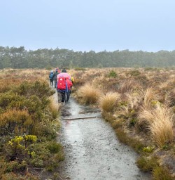 Tongariro National Park guided hiking tours