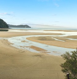Torrent Bay hiking