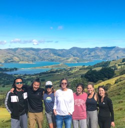 Viewpoint on Akaroa and Banks Peninsula