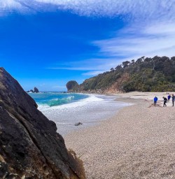 West Coast beaches new zealand small group tour