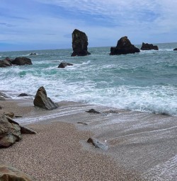 West Coast beaches new zealand tours