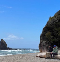 West Coast beaches new zealand
