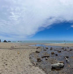 West Coast beaches