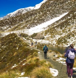 7. Sealy Tarns guests on the track