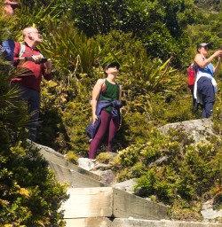 7. Native bush in Mt Cook National Park