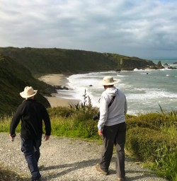 7. Guests walking Cape Foulwind