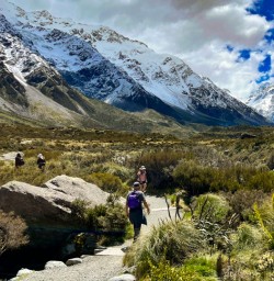 7. Hooker Valley Native bush and guests on track