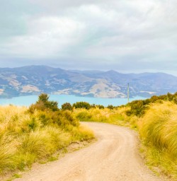7. Akaroa view