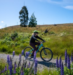 7. Cycling through the Lupins