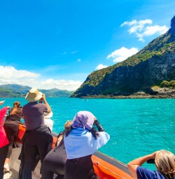 7. Dolphin spotting boat cruise