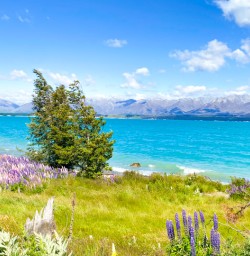 7. Lake Tekapo views