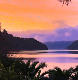 Lochmara sunset
