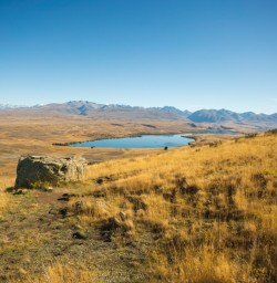7. Mt John views