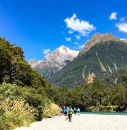 On the banks of the Hollyford River