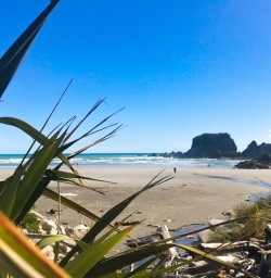 7. West Coast beach views