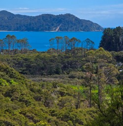 Awaroa to Bark Bay