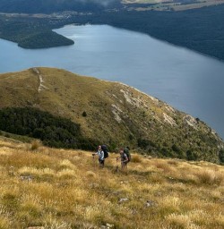 8 Bushline Hut Hike 17FEB25