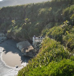 8 Cape Foulwind coast walk copy