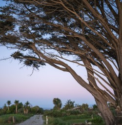 8 Dusk at Cape Foulwind2